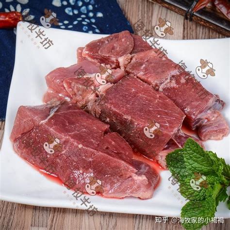 牛肉精禁忌|牛肉的功效与作用、禁忌和食用方法